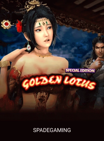Video slot game cover